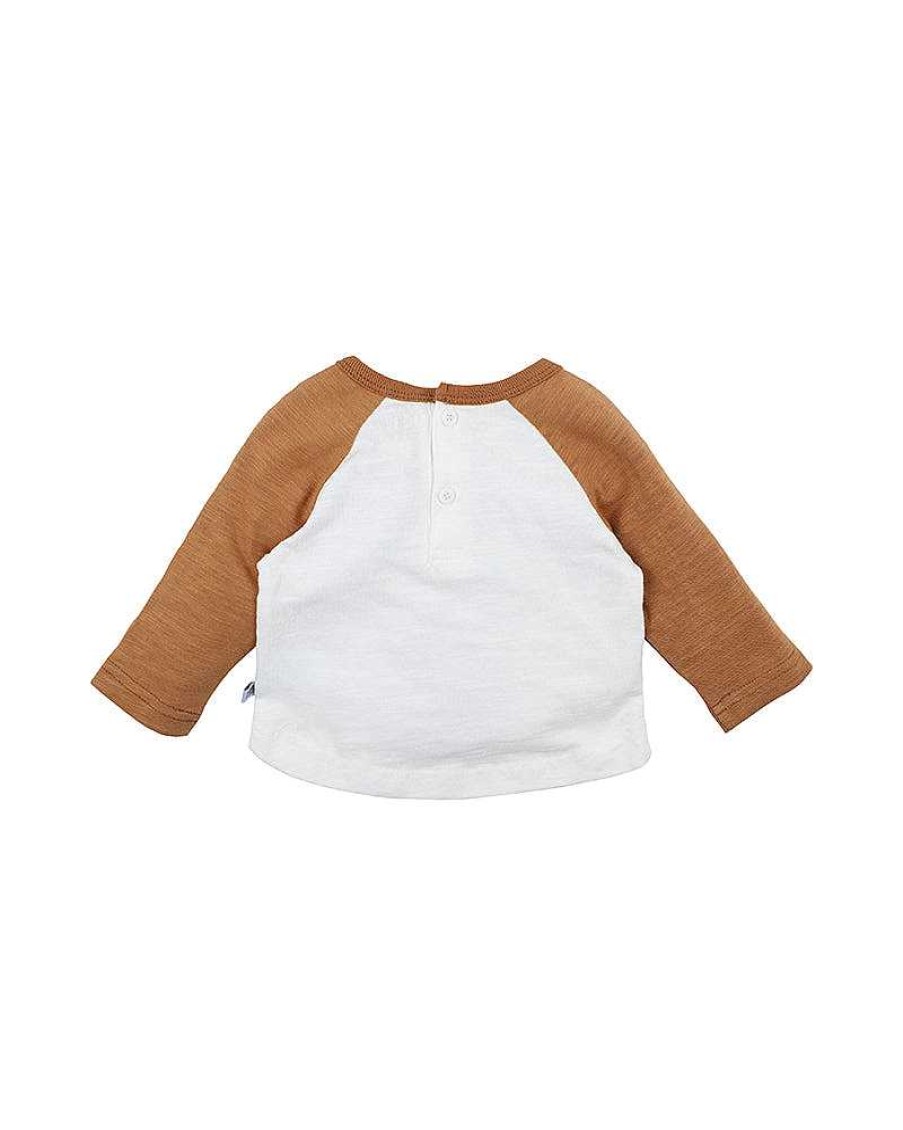 FOX & FINCH Wallaby Raglan Tee