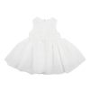 BÉBÉ Embroidered Sleeveless Organza Dress