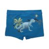 BÉBÉ Brody Swim Trunks